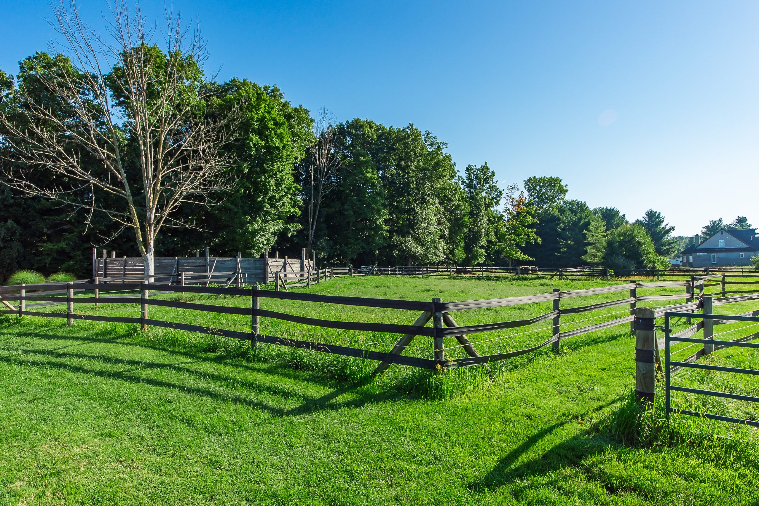 Spacious outdoor pastures for daily turnout